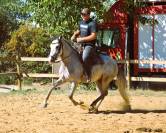 CARETO 4 ans