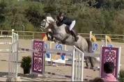 HONGRE EXPERIENCE 135/140 cm