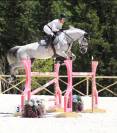 IMAGINE GLANVILLE TOP Jument de qualit&eacute; 8 ans