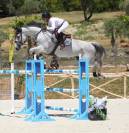 IMAGINE GLANVILLE TOP Jument de qualit&eacute; 8 ans