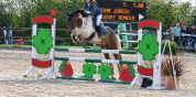 Poney de famille/ sport 