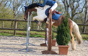 Poney de famille/ sport 