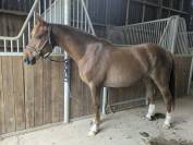 PFS 8 ans &agrave; vendre