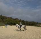Cheval PRE &agrave; vendre 