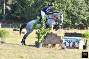 Cheval de 7 ans id&eacute;al amateur cce/cso
