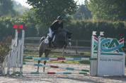 Ponette en OR 