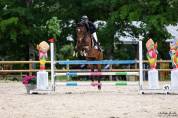 Hongre de 9 ans SF