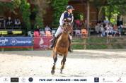 Hongre de 9 ans SF