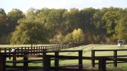 Sologne : Propri&eacute;t&eacute; &eacute;questre de charme 