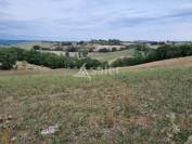 Exploitation &eacute;levage et grandes cultures 120ha TARN