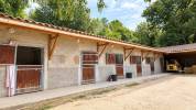 Equestrian property  Vaucluse