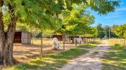 Equestrian property  Vaucluse