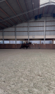 Talentvolle 3 jarige dressuur ruin
