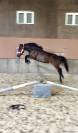 Ponette 4 ans onc 140 cm