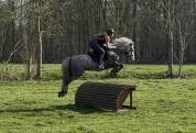 Loc poney