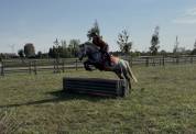 Loc poney