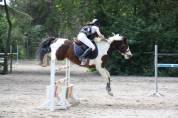Poney de sport 6 ans 