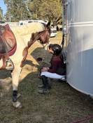 Poney de sport 6 ans 