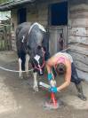 Barok Pinto 8 ans 