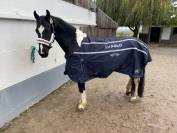 Barok Pinto 8 ans 