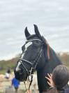 Barok Pinto 8 ans 