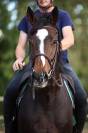 RAOULE - 4ans - 1m64