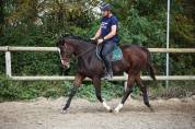 RAOULE - 4ans - 1m64