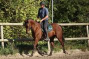 GEORGES - 3ans (4 en janvier) - 1m62