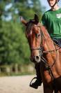 GEORGES - 3ans (4 en janvier) - 1m62