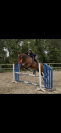 OFELIA - 6ans - 1m62
