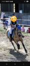 Super Poney