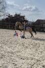 Super Poney