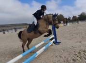 Super Poney