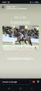 Hongre Selle Fran&ccedil;ais 2025 Dressage 
