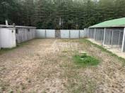 Pension canine et f&eacute;line en Sologne