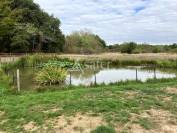 Pension canine et f&eacute;line en Sologne