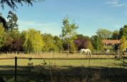 Equestrian property  Yvelines