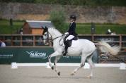 Hongre - PRE Lusitanien - 12 ans - Dressage Saint-Georges - France