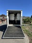 Camion Chevaux Poirier cabine Brevet 