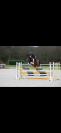 Jument de CSO &ndash; 10 ans