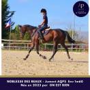 superbe jeune AQPS