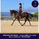 superbe jeune AQPS