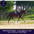 superbe jeune AQPS