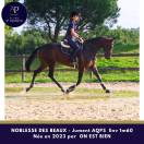 superbe jeune AQPS
