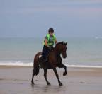 PRE 14 ans - R&eacute;gion Hainaut (Charleroi)
