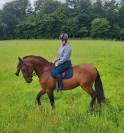 PRE 14 ans - R&eacute;gion Hainaut (Charleroi)