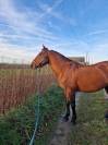 PRE 14 ans - R&eacute;gion Hainaut (Charleroi)