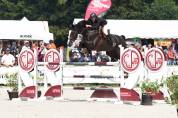 Hongre CSO noir 12 ans niv. 130-135cm