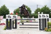 Hongre CSO noir 12 ans niv. 130-135cm
