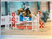 Super petit cheval pour concours loisirs
